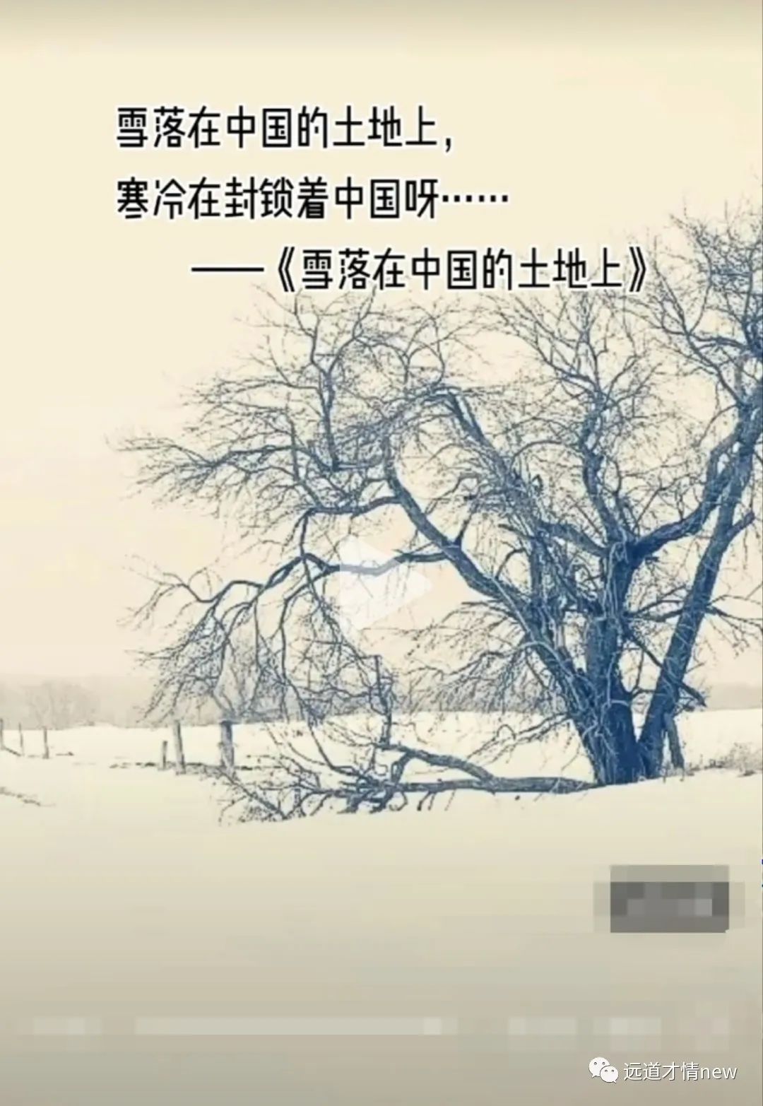 给2023的一封信怎么写,给2023年的自己写一封信500字