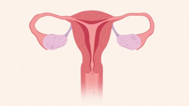 经血颜色辨别,经血到底什么颜色才算正常