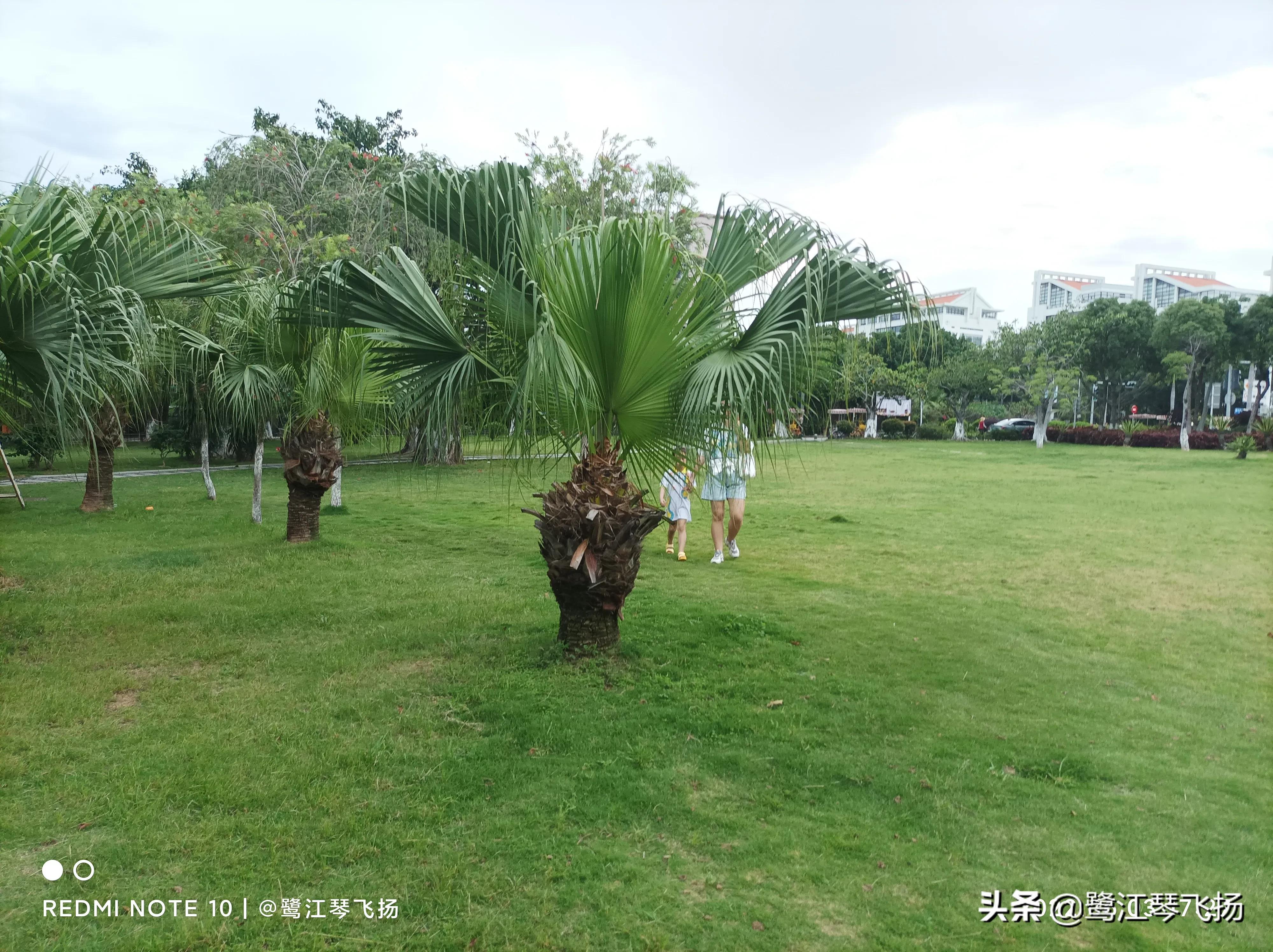 厦门六月的海,厦门的六月