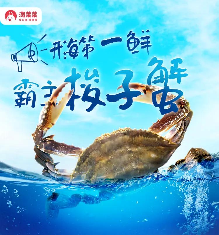 东海全面开渔“第一网”海鲜,浙江舟山东海开渔第一网海鲜到货