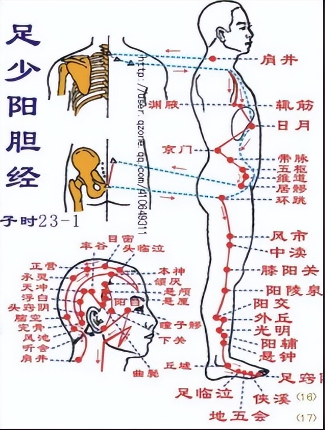 口干口苦耳鸣的中成药方,清肝明目口苦耳鸣用啥泡着喝好