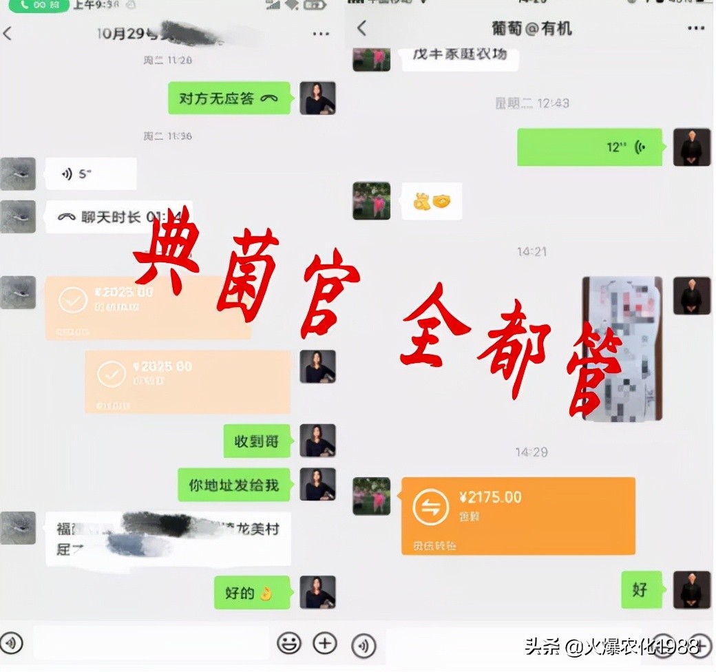 如何杀真菌细菌病毒,万能广谱杀菌剂所有病害一网打尽