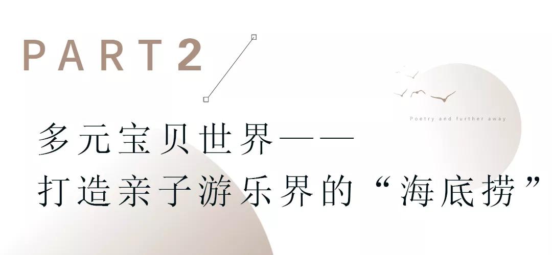 多元集团有限公司怎么打造,多元集团