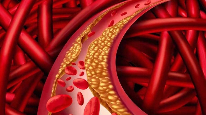 老年人每天补充200微克叶酸可以吗,老年人补充叶酸每片5mg每天服几片