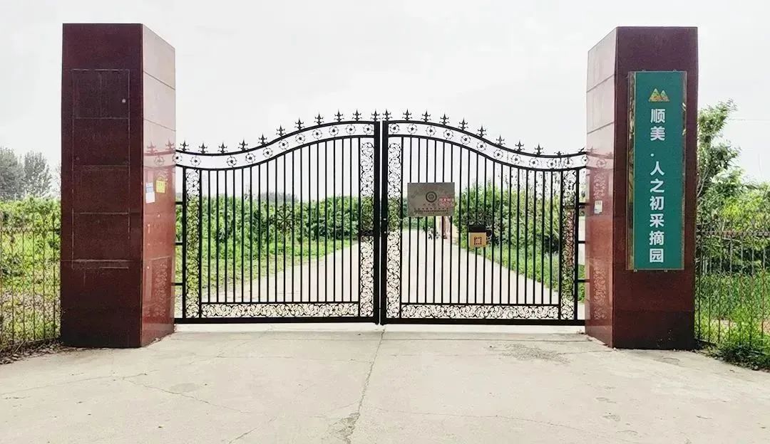 顺义喜邦樱桃采摘园,顺义千亩樱桃采摘园视频