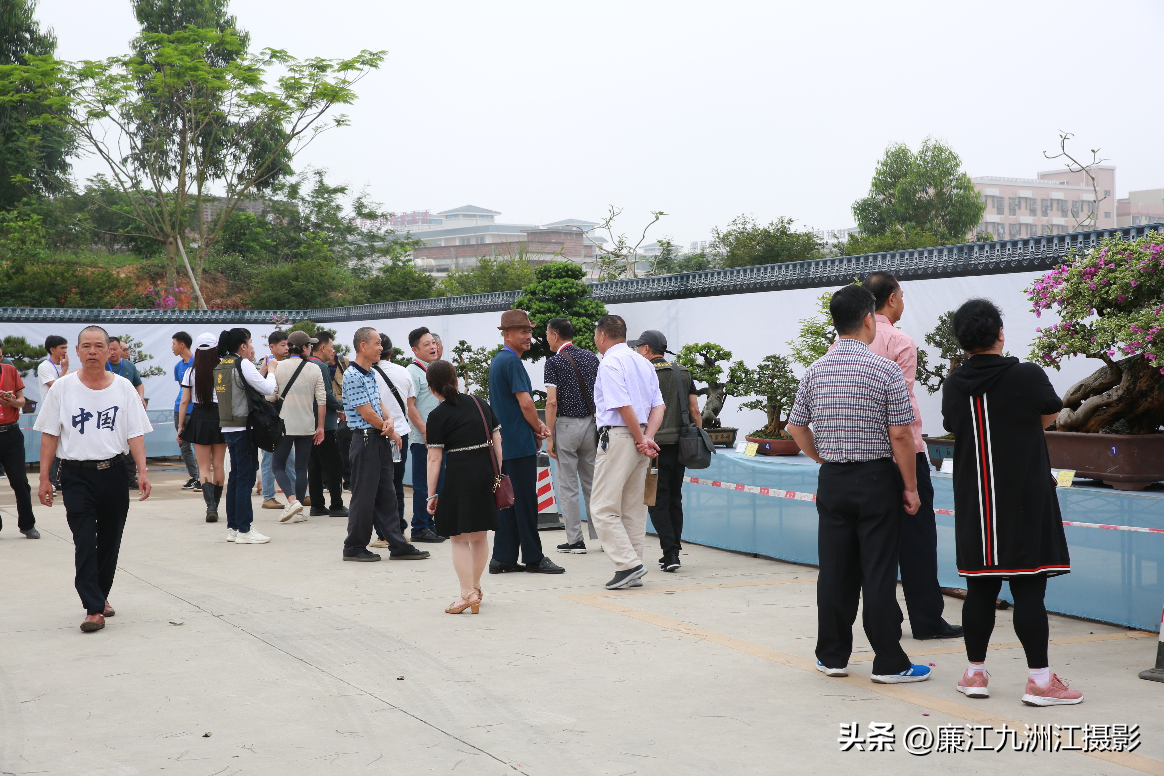 最高端的盆景展,一场惊艳的盆景展