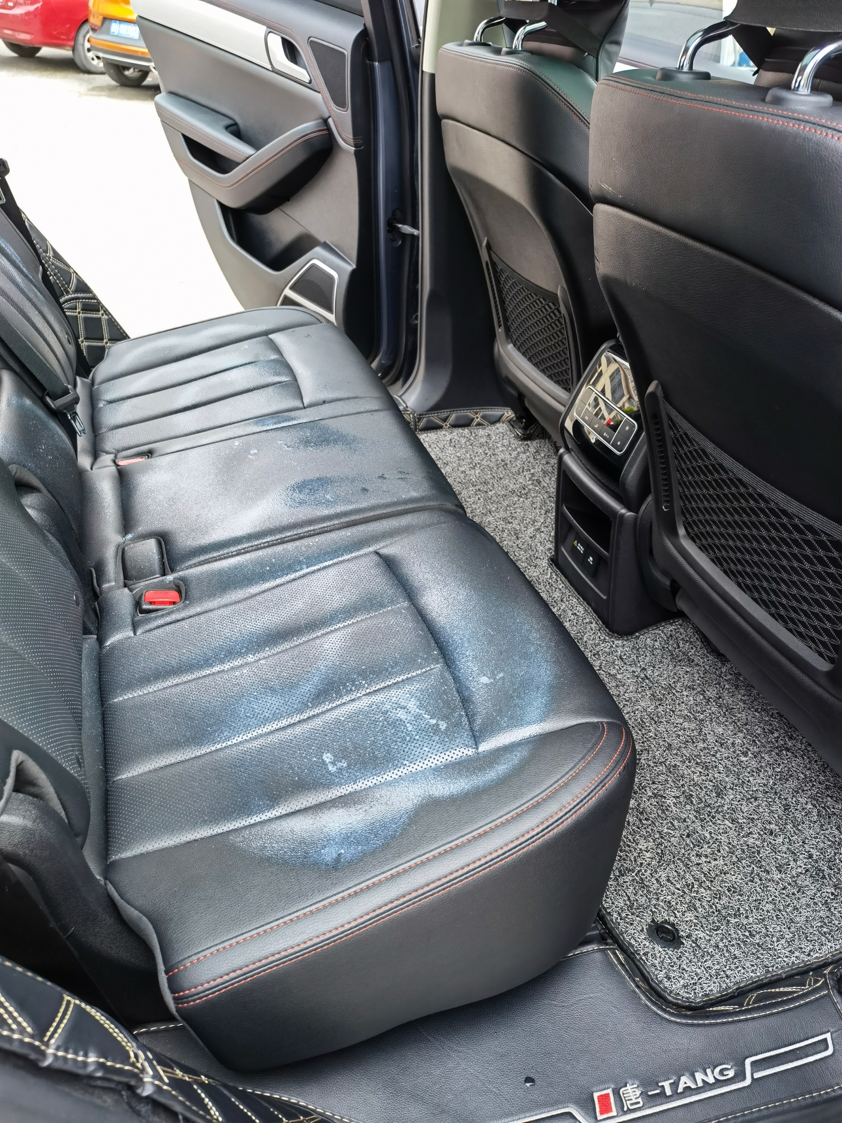 都不赖之全新唐使用经验分享全新唐雨后请及时清洗大唐