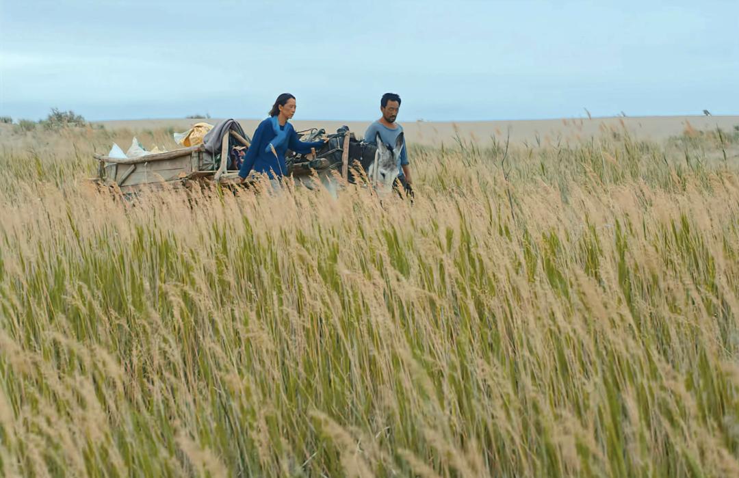 如果被冤枉被网暴该怎么办,被网暴怎么算严重