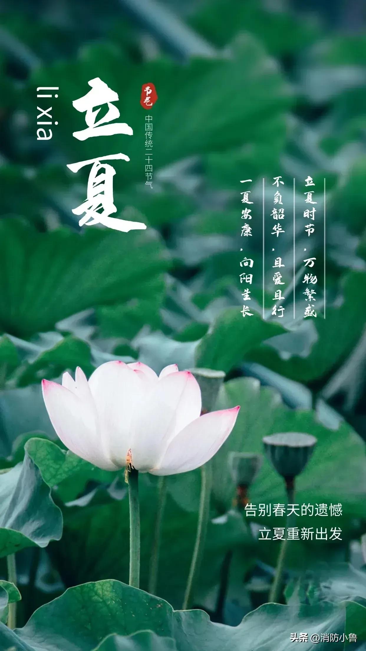 经典立夏祝福图片,立夏快乐图片祝福语