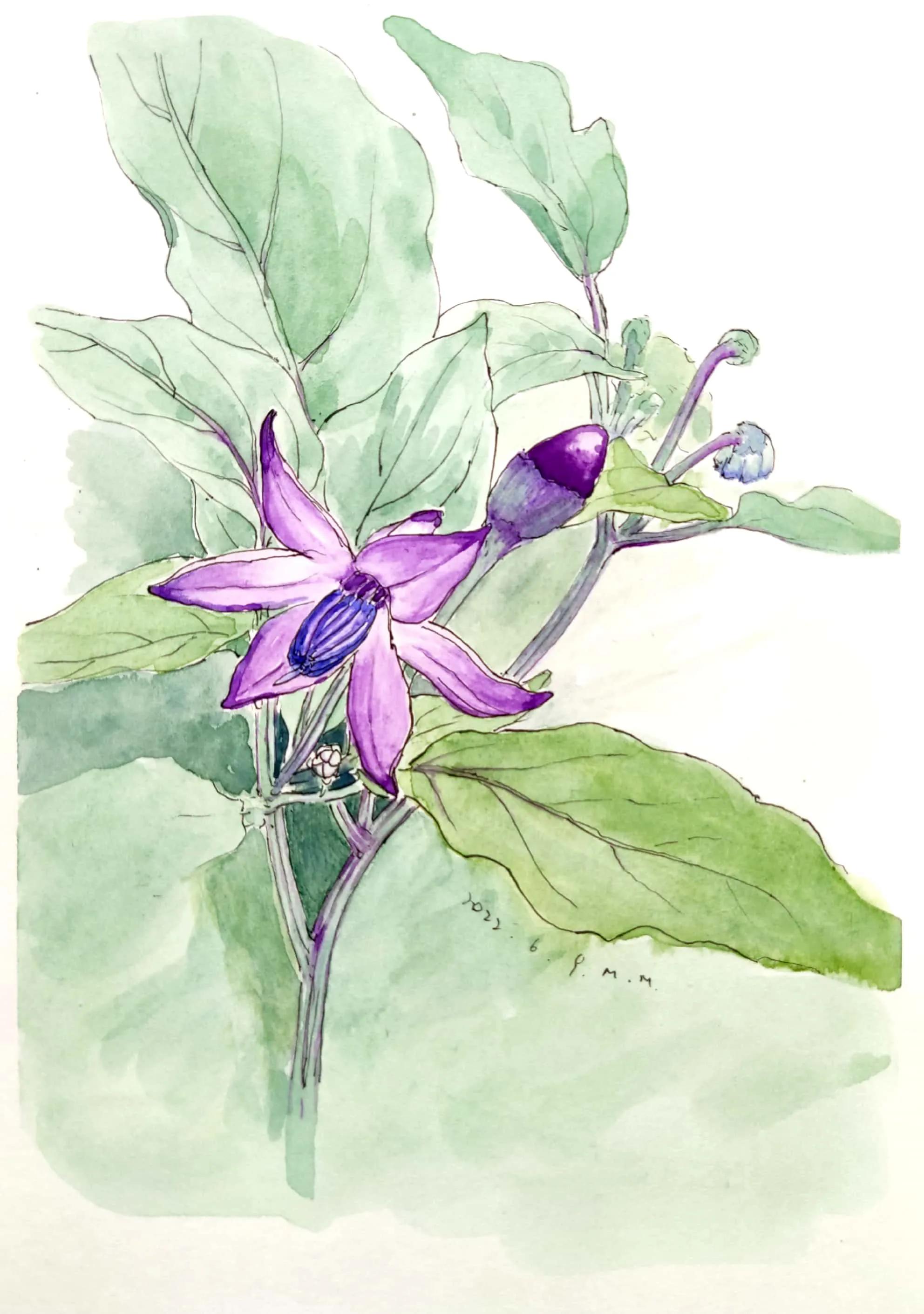 幸福画吧画友作品欣赏,幸福原创绘画作品欣赏