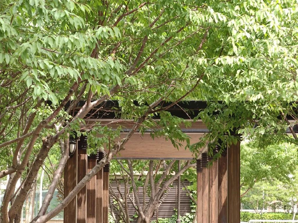 谁是影像机皇,谁才是手机机皇