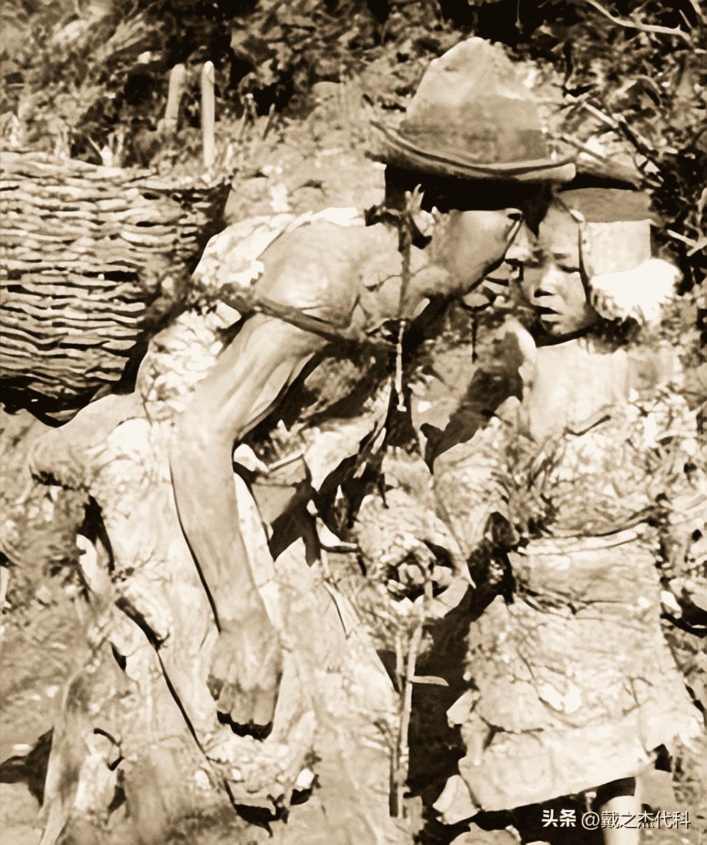 日军日记：*安妇慰**不服从管教，我很愤怒，用*刀刺**插入她的*体下**,2