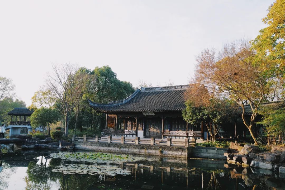 春天的潺潺溪水,春天的顶流