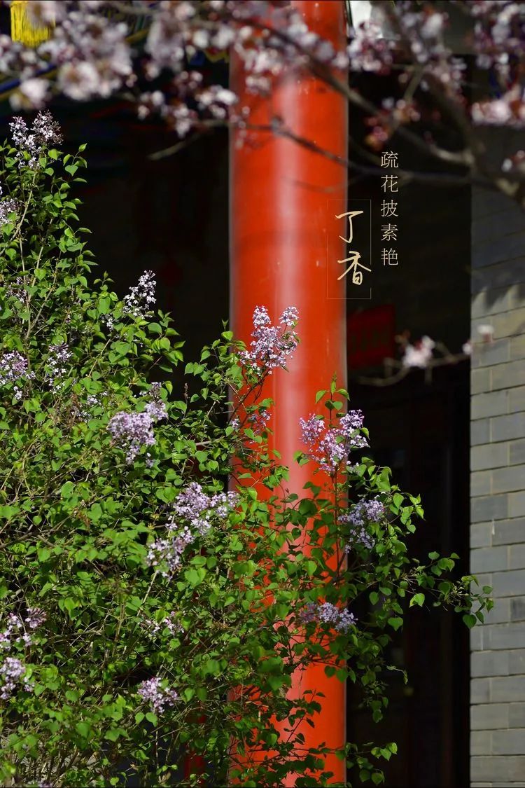 滦州古城都有哪些特色美景,滦州古城江南