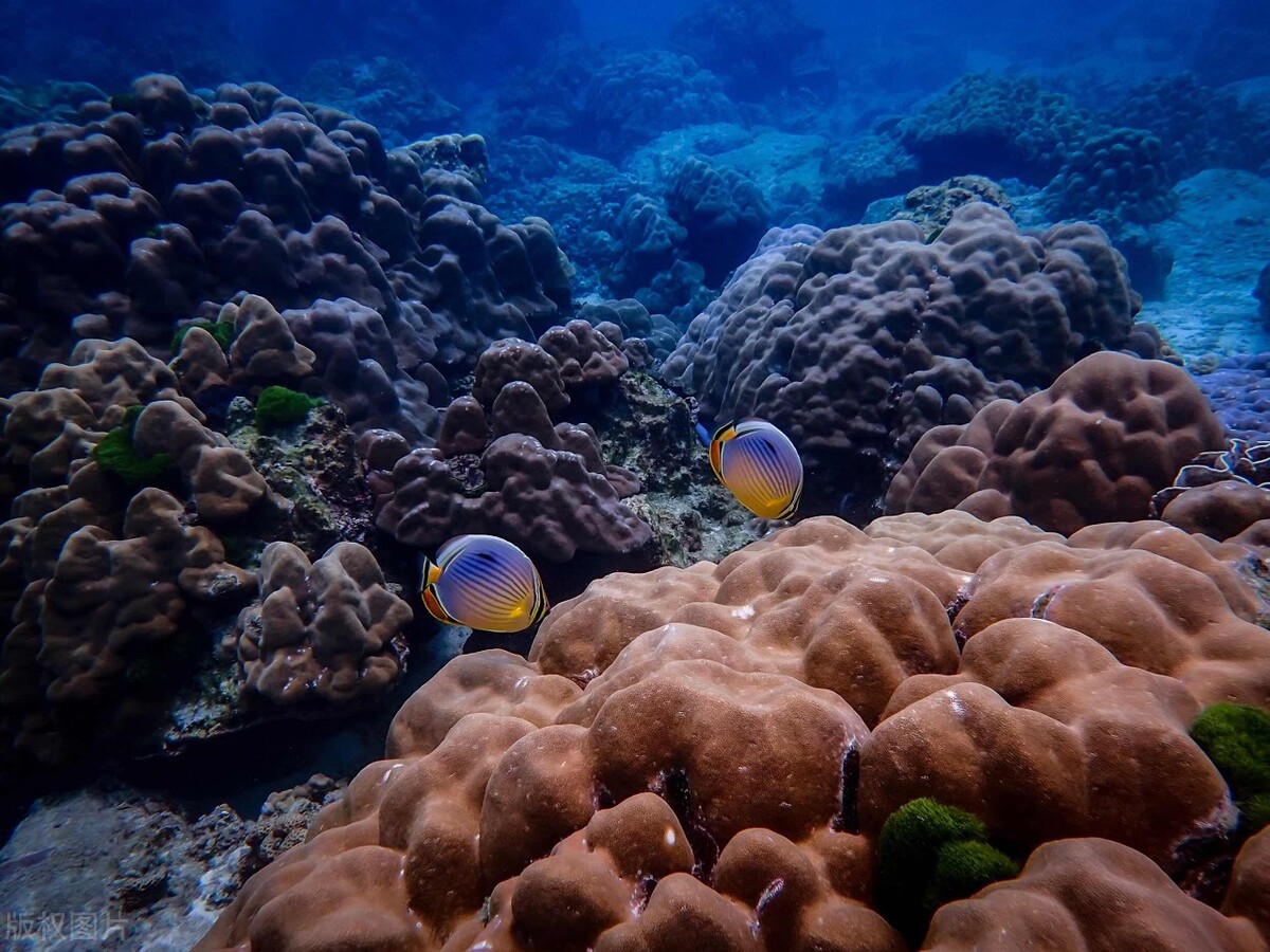 泰国普吉岛五日游攻略图文,泰国普吉岛5天游攻略