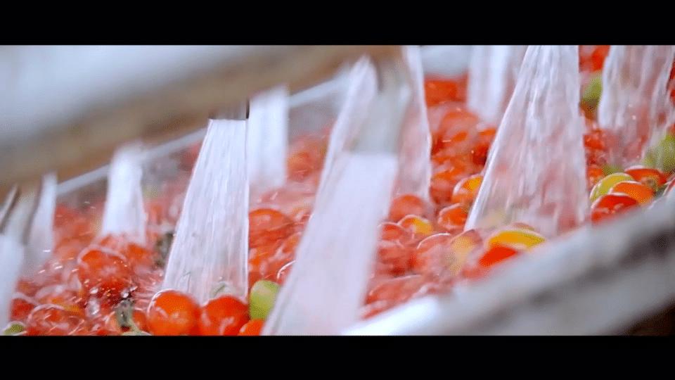 这座宝藏城市，除了房价落后，种地办厂样样都很行