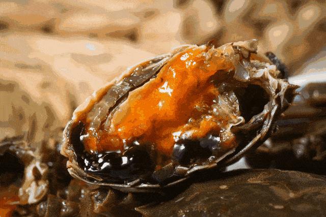 绍兴黄酒开了封以后怎么保存,会稽山纯正五年绍兴黄酒好喝么