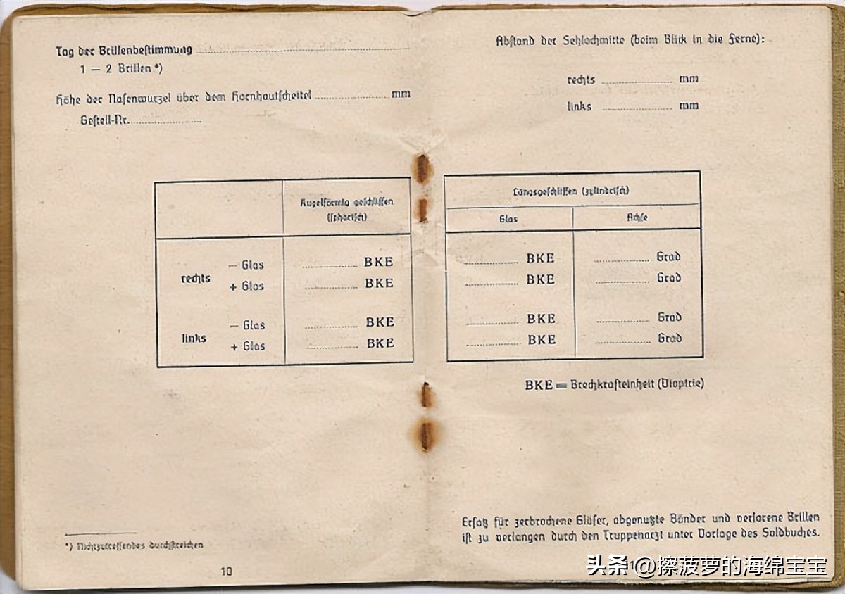 二战时德国军人的肩章,二战德国兵种领章