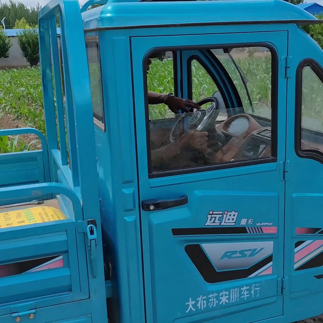 马齿菜糖尿病人能吃吗,马齿菜