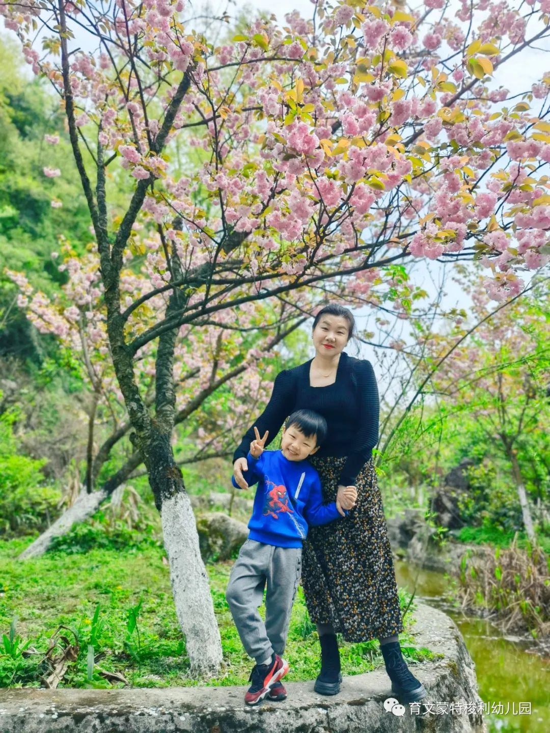 青羊区蒙田森蒙特梭利幼儿园学费,育文蒙特梭利幼儿园
