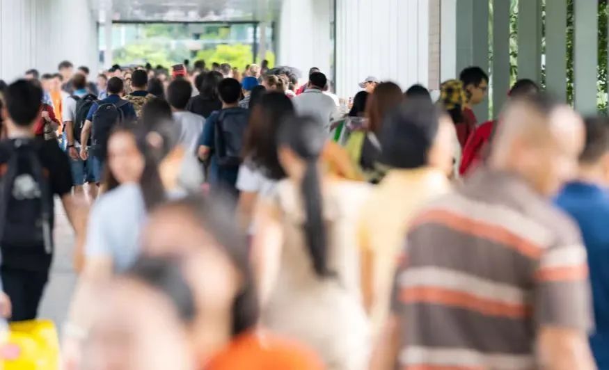 入厂打工人,打工人的避风港