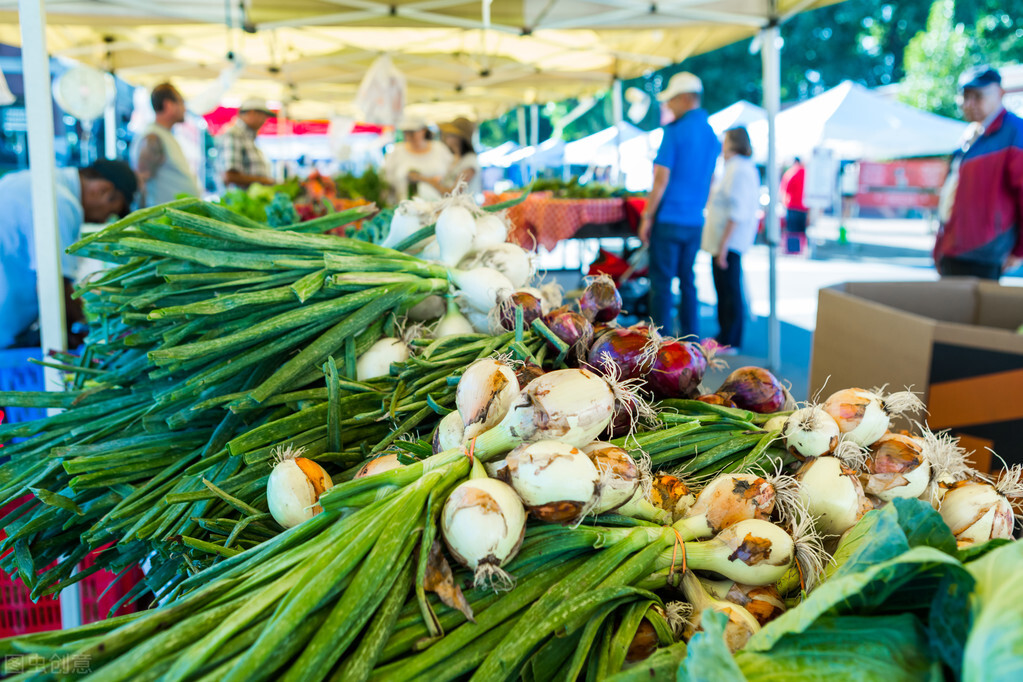农业大葱种植,大葱种植致富项目