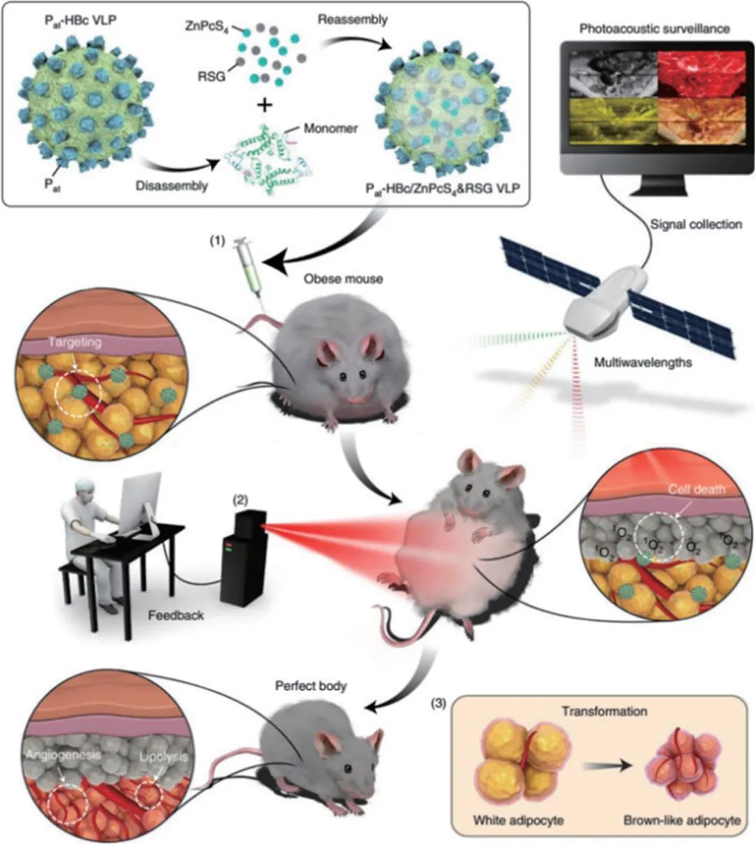 量子光学、太赫兹......2021年光学热点回眸（下）|回眸