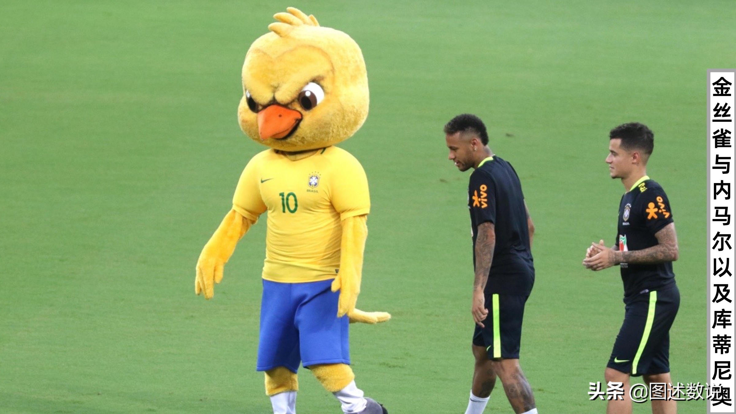 卡塔尔世界杯有几支球队参赛,卡塔尔世界杯全部参赛球队