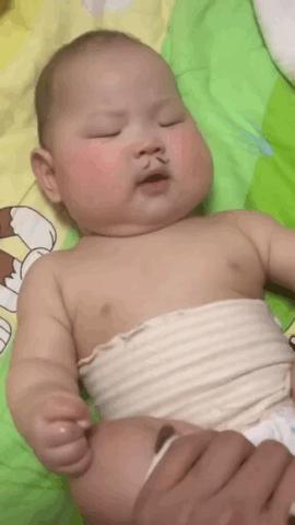 神回复：老鼠贴粘到的，吃了不会犯法吧？网友：自首，争取死缓