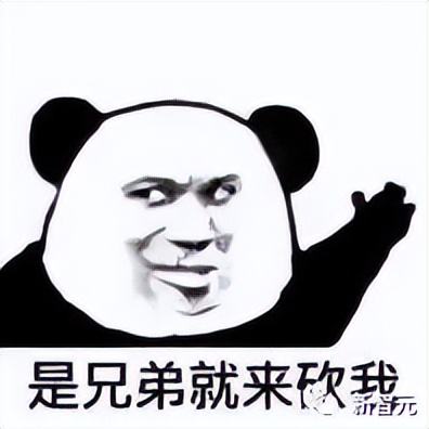 苹果a16芯片到底有多强,苹果iphone14pro问题