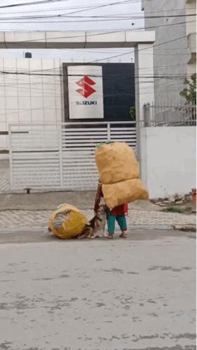 妹子，你的背的包很别致啊，旁边兄弟盯得眼都直了，哈哈哈哈哈哈