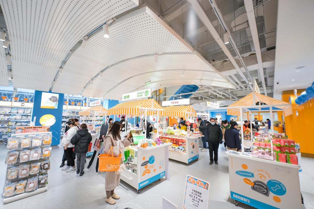 狗道宠物dogway上海店,专访doggo