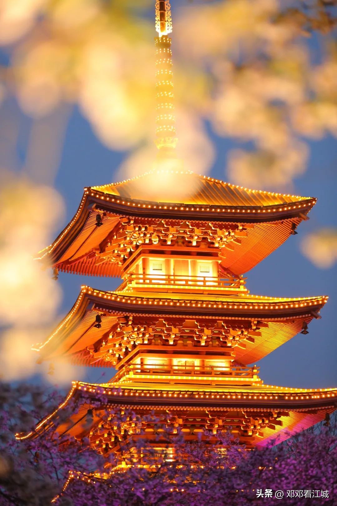 武汉樱花自由行攻略路线,武汉赏樱花两天一夜旅游攻略