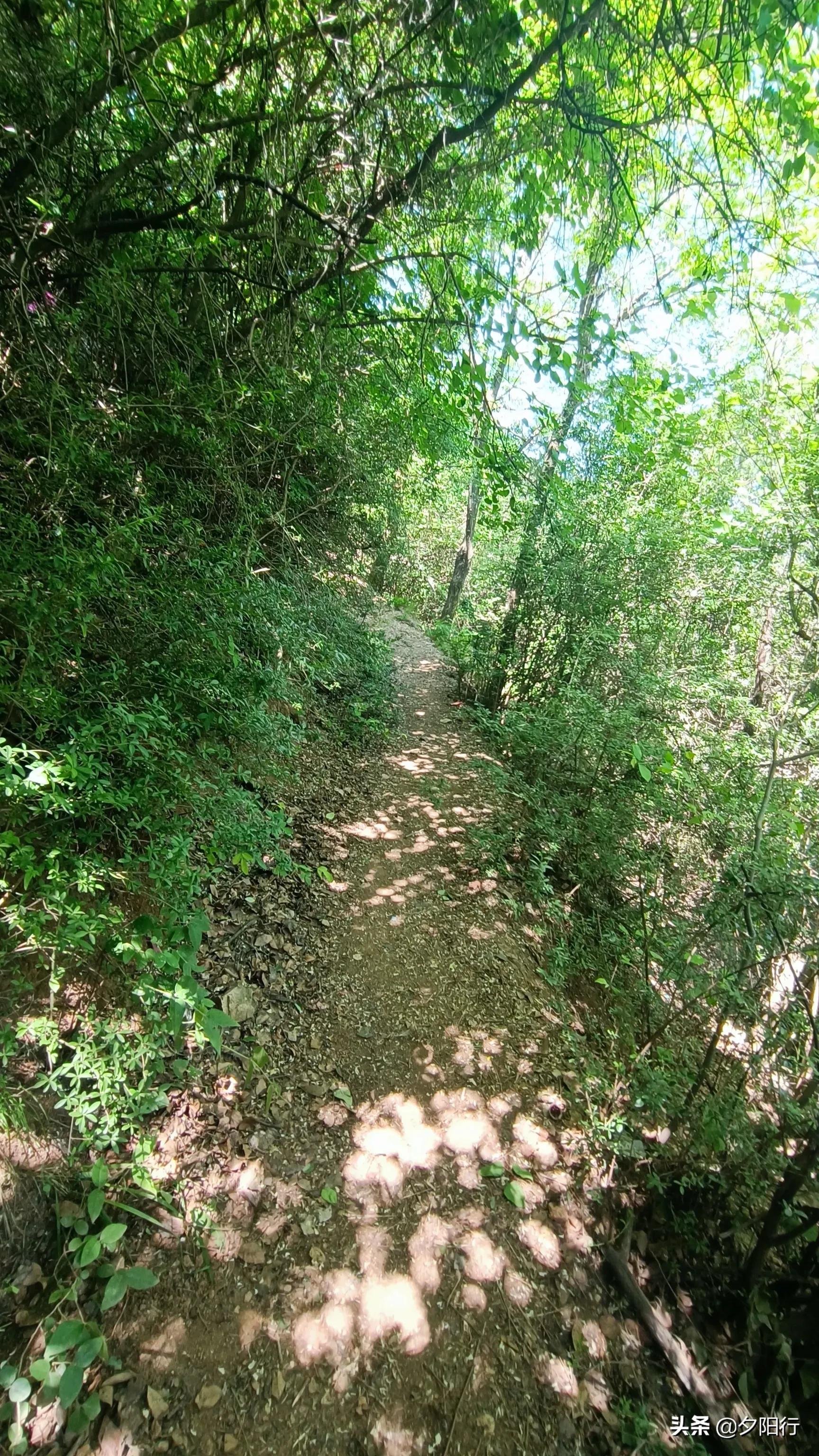 最美爬山公路,最美登山路