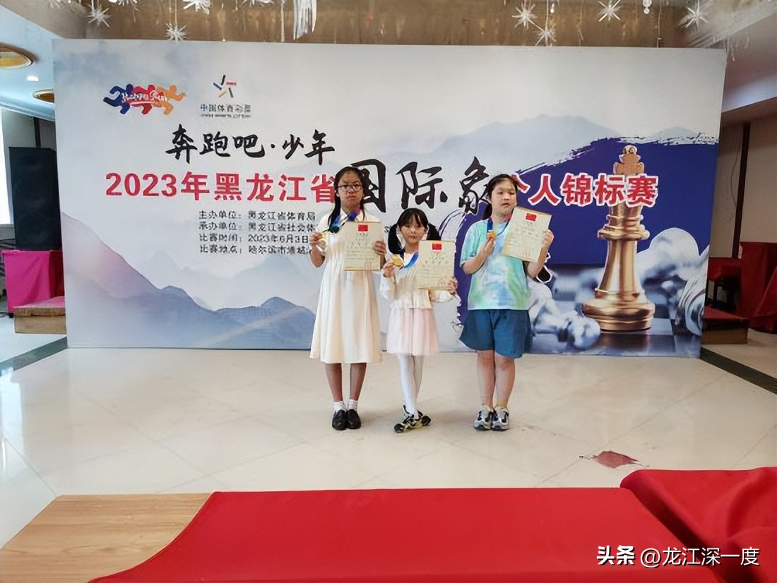 黑龙江省第四届中式台球锦标赛,黑龙江省象棋个人锦标赛