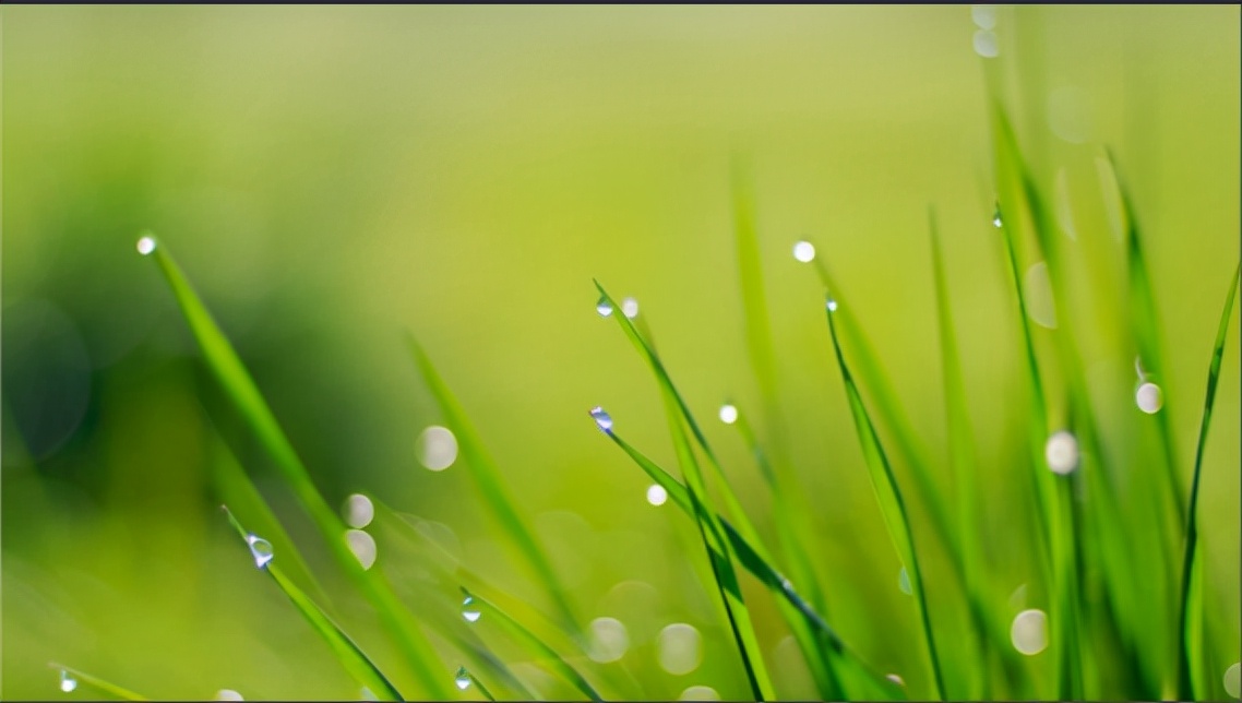 2021年体育考试项目及评分标准,2014体育专项考试评分标准