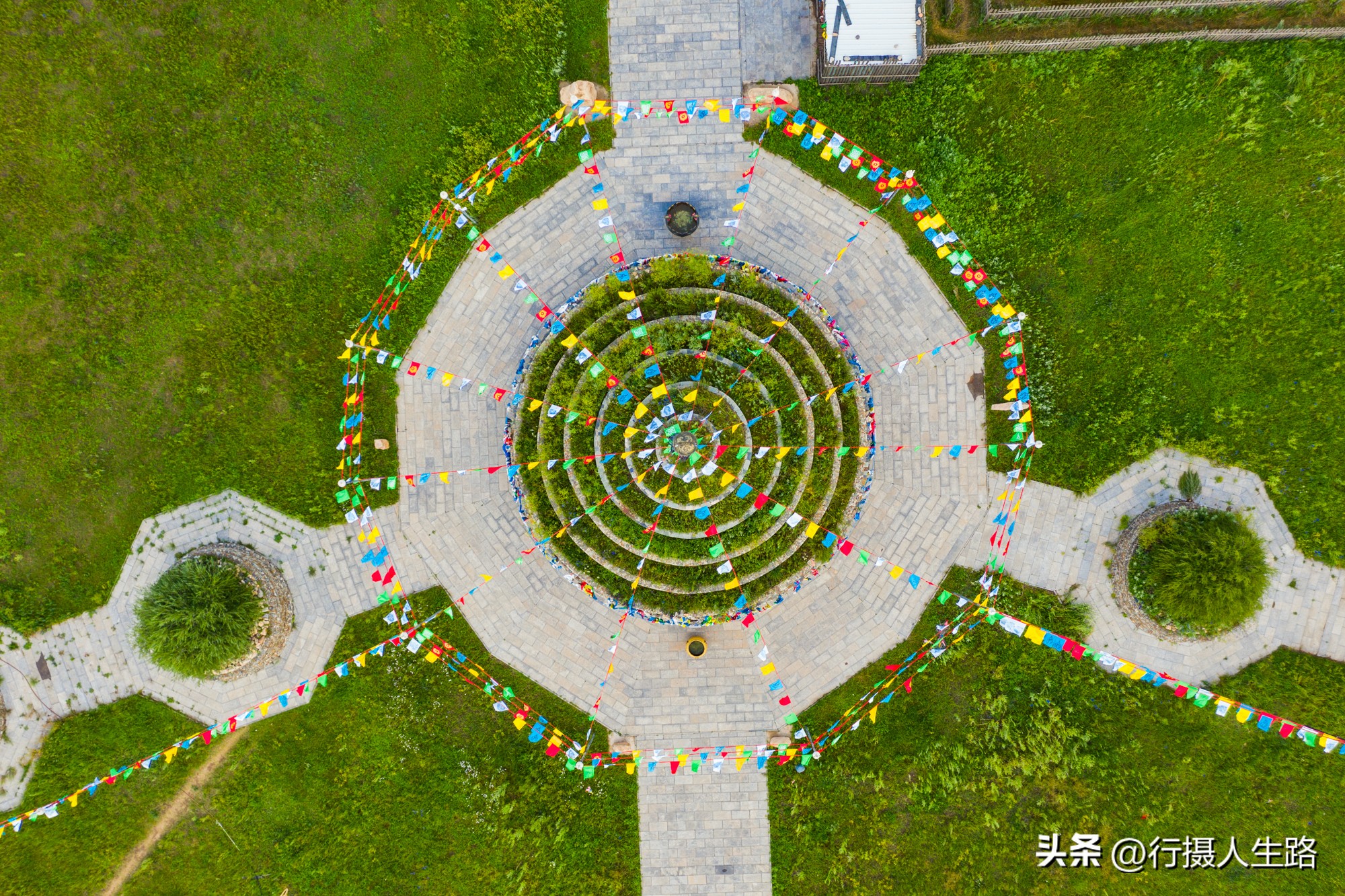 一路向北去黑龙江漠河,一路向北去寻找花海