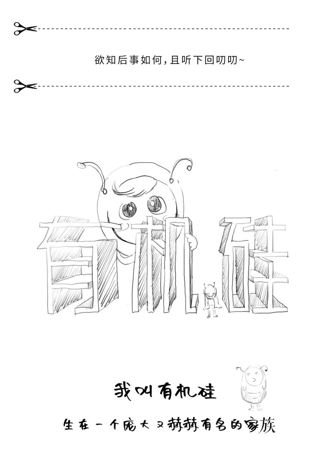 有机硅深度解读,有机硅深度解析