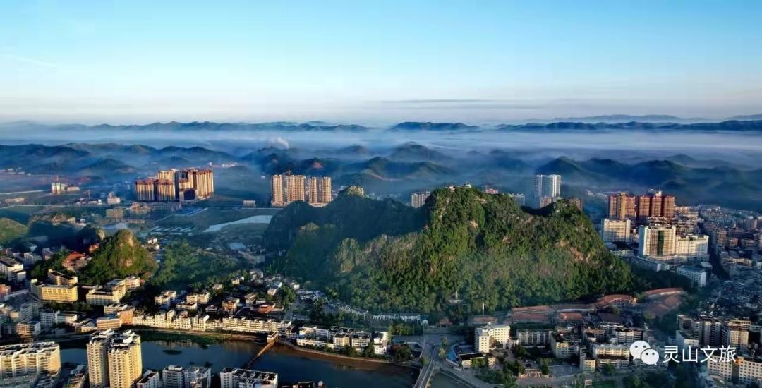 2020年灵山荔枝采摘地点,广西灵山荔枝现摘现吃