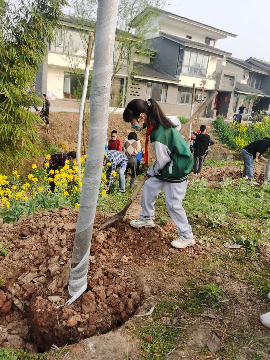 成都天府新区永兴镇小学规划,天府新区永兴小学
