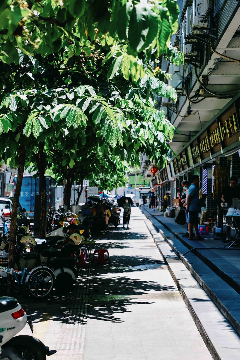 深圳市蛇口攻略,深圳海岛蛇口