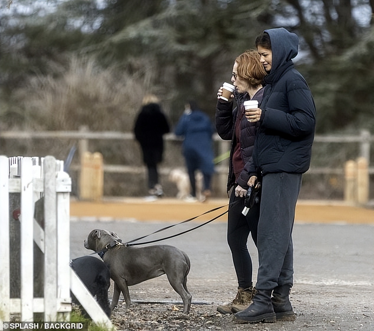 赞达亚和荷兰弟蜘蛛侠第一次见面,蜘蛛侠赞达亚全身照
