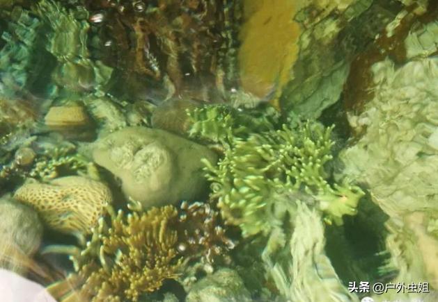 旅行团无人海岛,海岛旅游团自由行