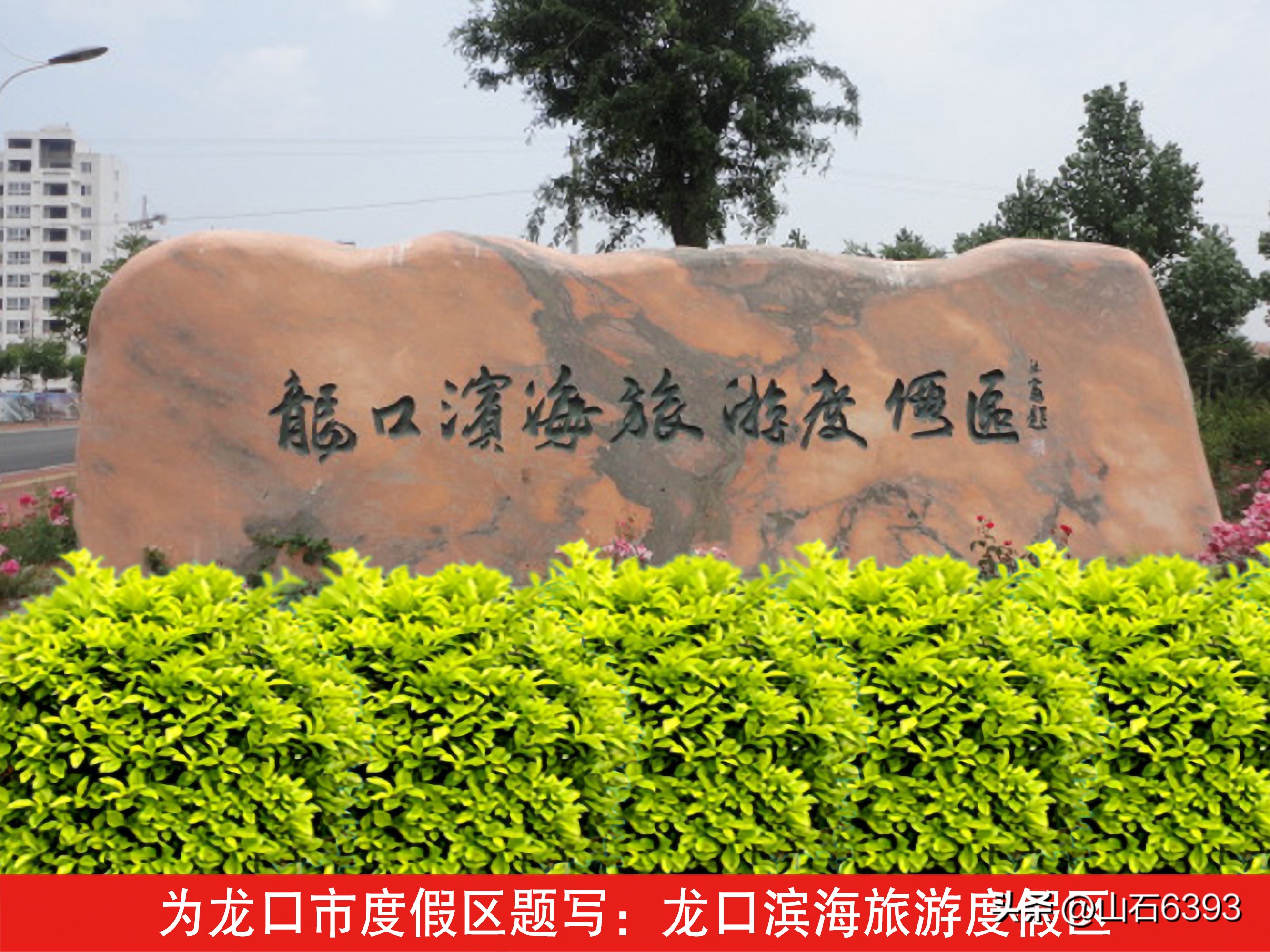 杨德富书法字画作品,杨德富书法家简介