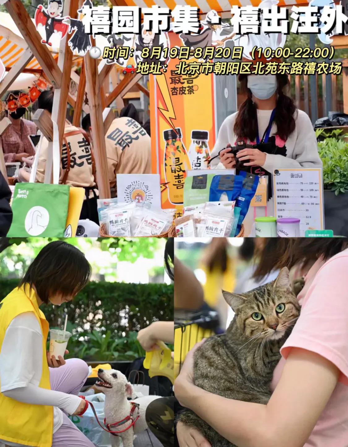 北京这几天适合去哪儿玩儿,北京这几天晚上去哪里玩最好