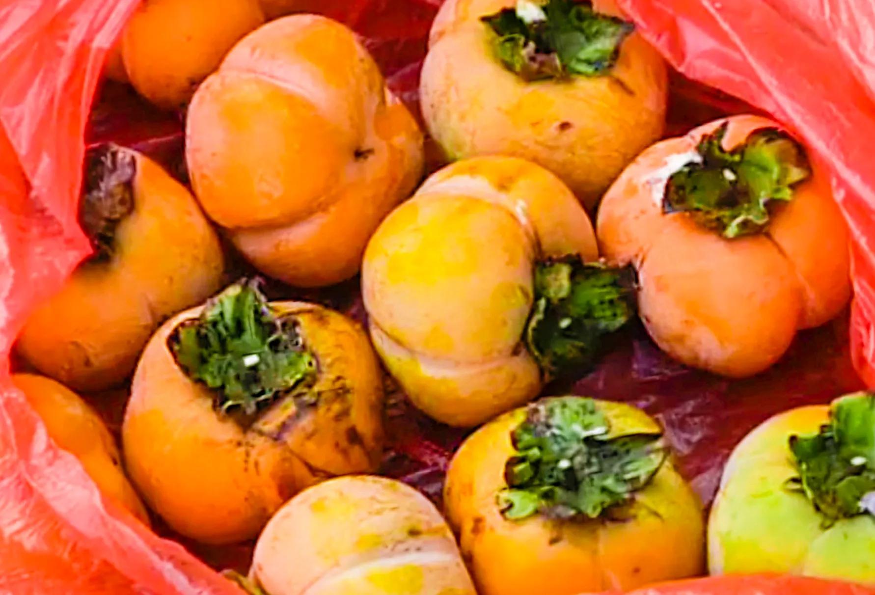 鄱阳湖边狮子山，风景如画，是个不错的休闲度假之地