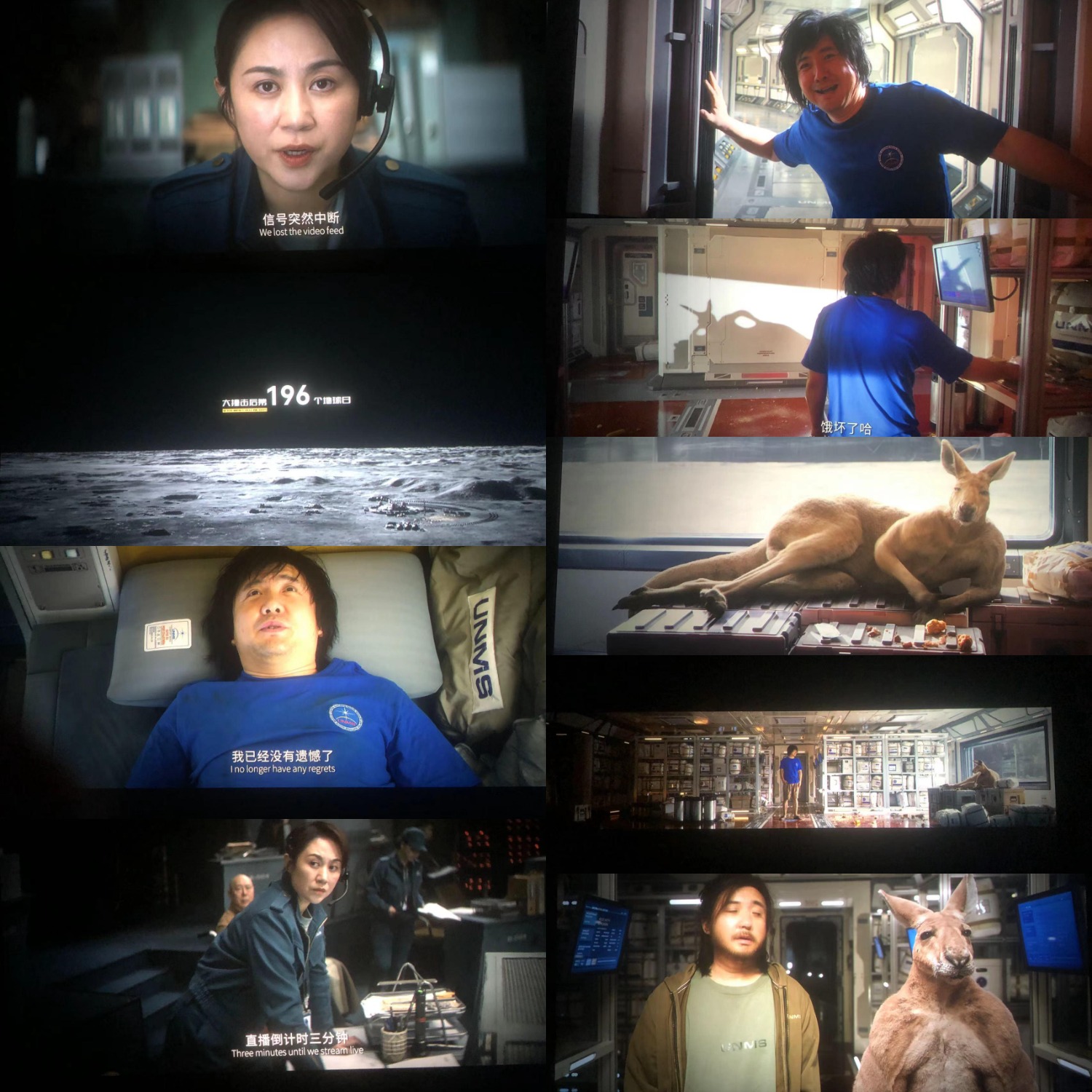 看完独行月球的评价,独行月球震撼来袭