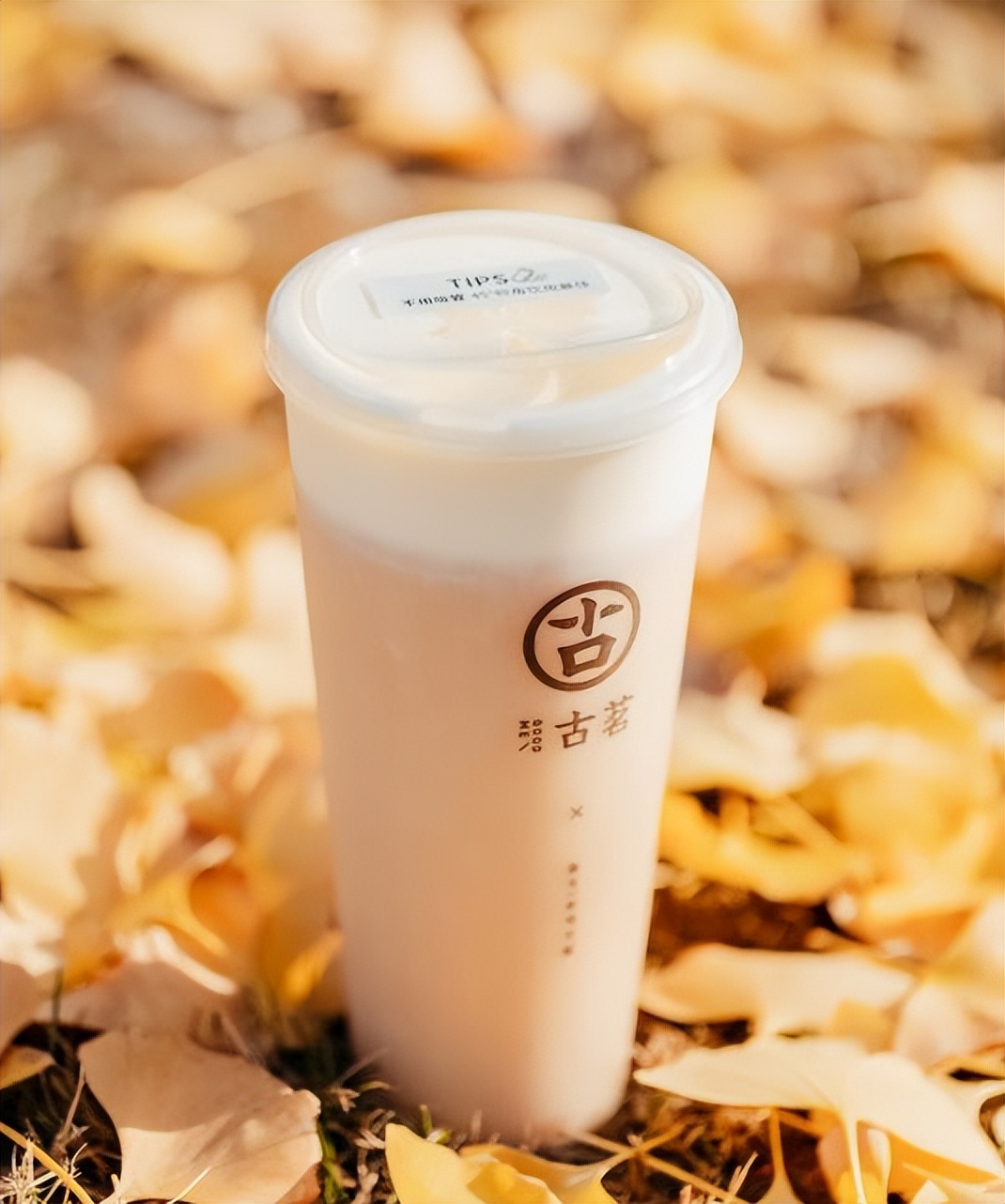 古茗开店需要多少钱？加盟古茗包含的费用、条件、扶持2023最新