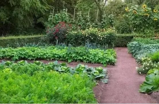 功夫巨星李连杰之精华片段,李连杰真实身价多少亿