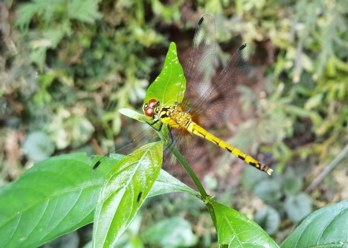 韶关自驾三日游攻略,韶关附近三日游